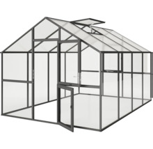 Gewächshaus mit geöffneter Tür und Dachfenster
