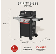 Weber Spirit E-325 Gasgrill mit drei Brennern und den Maßen Höhe 117 cm, Breite 123 cm und Tiefe 68 cm.