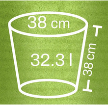 Skizze eines Pflanzgefäßes mit den Maßen 38 Zentimeter Durchmesser, 38 Zentimeter Höhe und 32,31 Liter Volumen