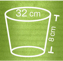 Illustration eines Pflanzgefäßes mit Maßangaben: 32 cm Durchmesser oben, 8 cm Höhe