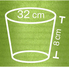 Illustration eines Pflanzgefäßes mit den Maßen 32 cm Durchmesser und 8 cm Höhe