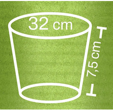 Illustration eines Pflanzgefäßes mit den Maßen 32 Zentimeter Durchmesser und 7,5 Zentimeter Höhe