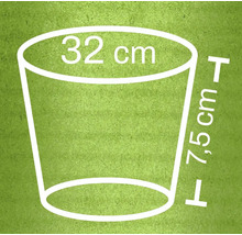 Pflanzgefäß Dimensionen: 32 Zentimeter Durchmesser, 7,5 Zentimeter Höhe