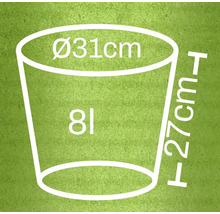 Skizze eines Pflanzgefäßes mit den Maßen 31 Zentimeter Durchmesser und 27 Zentimeter Höhe, Fassungsvermögen acht Liter