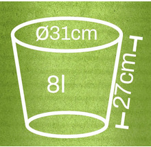 Skizze eines Pflanzgefäßes mit den Maßen Durchmesser 31 Zentimeter, Höhe 27 Zentimeter und 8 Liter Volumen