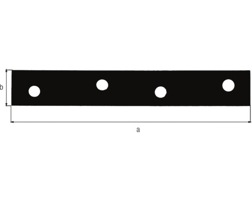 Maßskizze für ein Lochband mit Kennzeichnung der Länge a und Breite b.