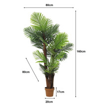 Künstliche Palme im Topf, Höhe 160 Zentimeter, Breite und Tiefe 80 Zentimeter, Topfhöhe 17 Zentimeter, Topfdurchmesser 20 Zentimeter.