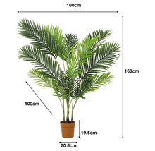 Künstliche Palme im Topf mit Maßangaben: Höhe 160 Zentimeter, Breite 100 Zentimeter, Topfhöhe 19,5 Zentimeter, Topfdurchmesser 20,5 Zentimeter.