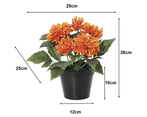 Künstliche Dahlie im schwarzen Topf: Höhe 26 Zentimeter, Breite 25 Zentimeter, Topfhöhe 10 Zentimeter, Bodendurchmesser 12 Zentimeter.