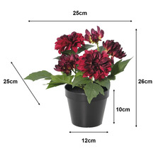 Rote künstliche Dahlie im Topf, Höhe 26 Zentimeter, Breite 25 Zentimeter, Tiefe 25 Zentimeter, Topfhöhe 10 Zentimeter, Bodendurchmesser 12 Zentimeter.