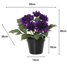 Künstliche Dahlie im schwarzen Topf, lila Blüten. Maße: Höhe 26 Zentimeter, Breite 25 Zentimeter, Tiefe 25 Zentimeter.