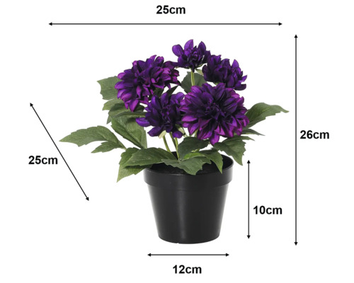 Künstliche Dahlie im schwarzen Topf, lila Blüten. Maße: Höhe 26 Zentimeter, Breite 25 Zentimeter, Tiefe 25 Zentimeter.