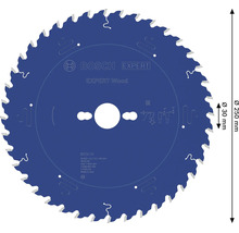 Blaues Bosch Expert Wood Kreissägeblatt für Holz, Durchmesser 250 Millimeter, Bohrung 30 Millimeter, Bosch Logo.