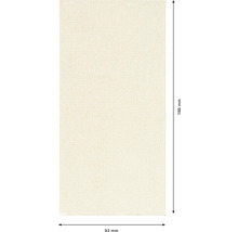 Universalfilter für Dunstabzugshauben, circa 93 mm mal 186 mm