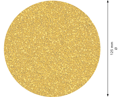 Schleifscheibe, Durchmesser 125 Millimeter