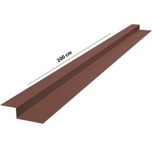 Dachrinne aus Metall, 200 cm lang