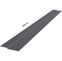 Dachblech 200 cm