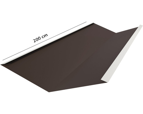 Ortgangblech, 200 cm lang