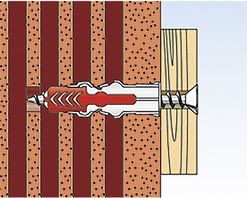 Dübel in der Wand mit Schraube im Holz