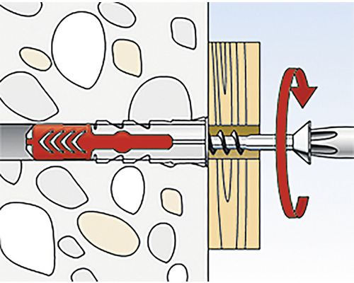 Illustration eines Dübels in einer Wand mit Schraube in einem Holzstück