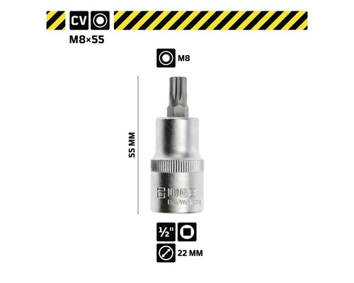 Eugen Werkzeug Steckschlüssel-Einsatz Innen Torx M8 x 55 Millimeter