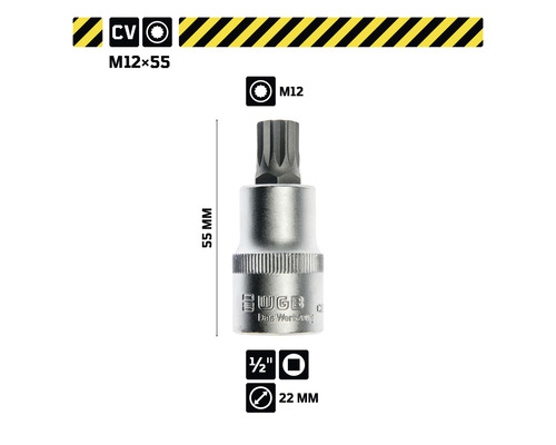 Torx-Bit M12 mit einer Länge von 55 mm