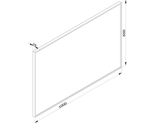 Technische Zeichnung einer Wandplatte mit den Maßen 1000 x 650 x 25 Millimeter.