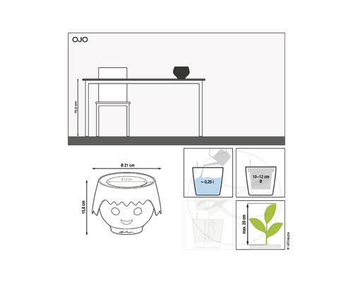Diagramm der Ojo Pflanzgefäßabmessungen und Bewässerungshinweise.