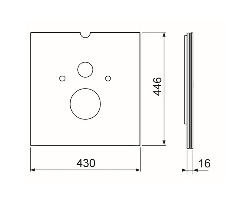 Technische Zeichnung einer Montageplatte mit den Maßen 446 mal 430 mal 16 Millimeter.