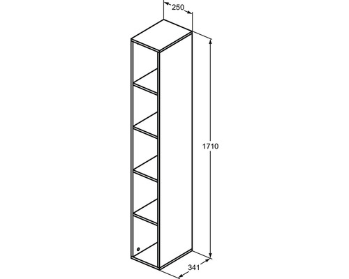 Technische Zeichnung eines Hochschranks mit den Maßen 250 x 341 x 1710 Millimeter.