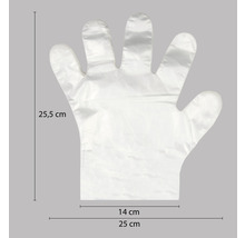Einmalhandschuh mit den Maßen 25,5 cm Länge und 25 cm Breite