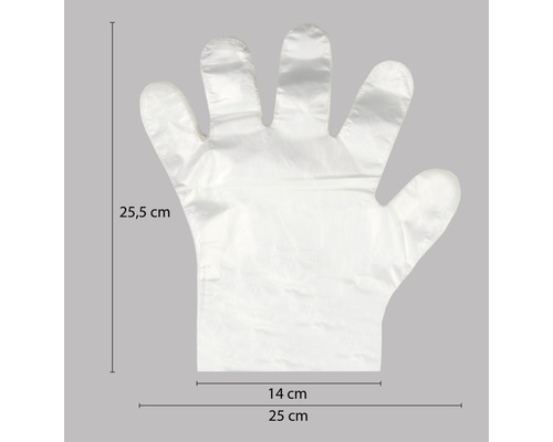 Einmalhandschuh mit den Maßen 25,5 cm Länge und 25 cm Breite