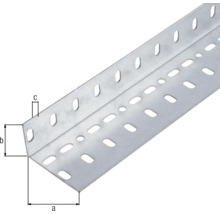 Conceptor Winkelprofil gelocht verzinkt 25x45x1 mm, 2m silber-thumb-1