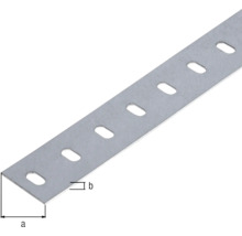 Lochband aus Metall mit Aussparungen