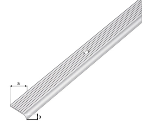 Treppenkantenprofil mit Schraublöchern