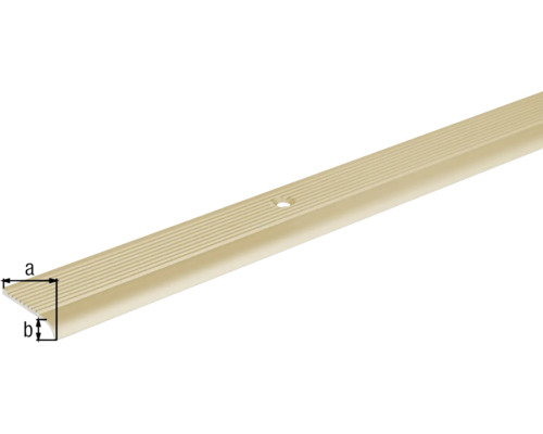 Treppenkantenprofil mit Befestigungslöchern zur Montage