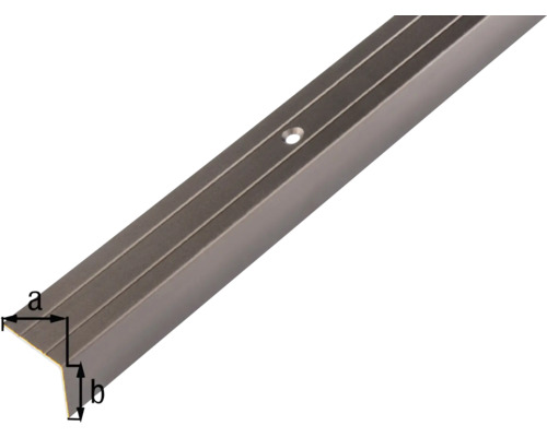 Winkelprofil mit Bohrung zur Befestigung