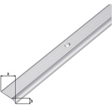 Aluminium Treppenkantenprofil mit Schraublöchern