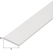 Kunststoff Flachleiste mit Maßangaben