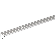 Aluminium Treppenkantenprofil mit Bohrung
