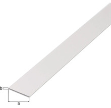 Flachprofil aus Metall