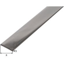 Metall Flachprofil mit Maßangaben