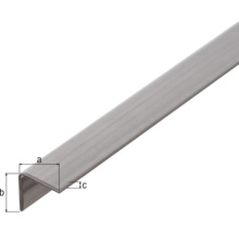 Winkelprofil Edelstahl 15x15x1,5 mm, 2 m