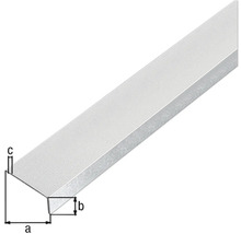 Winkelprofil Alu kugelgestrahlt silber selbstklebend 20x10x1 mm, 1 m