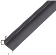 Winkelprofil Alu eloxiert 20x10x1 mm, 1 m schwarz-thumb-1 Winkelprofil Alu eloxiert 20x10x1 mm, 1 m schwarz-thumb-1
