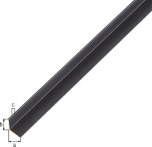 Winkelprofil Alu eloxiert 10x10x1 mm, 2 m schwarz-thumb-1 Winkelprofil Alu eloxiert 10x10x1 mm, 2 m schwarz-thumb-1