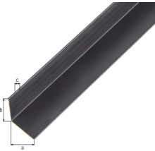Winkelprofil Alu eloxiert 20x20x1 mm, 2 m schwarz-thumb-1
