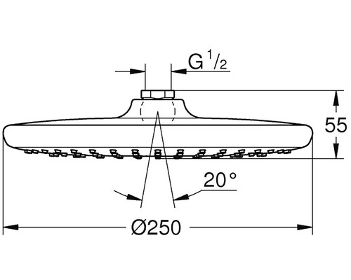 Technische Zeichnung eines Duschkopfes mit den Maßen Durchmesser 250 Millimeter und 55 Millimeter Höhe