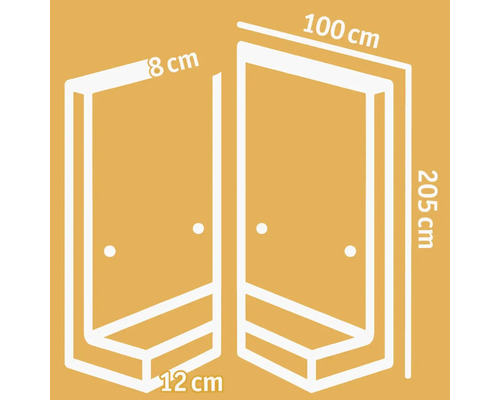 Technische Zeichnung einer Duschkabine mit den Maßen 100 cm, 205 cm, 8 cm und 12 cm.