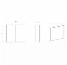 Technische Zeichnung eines Spiegelschranks mit den Maßen 750 x 700 x 160 mm